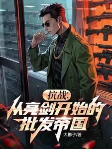 抗战：从亮剑开始的批发帝国